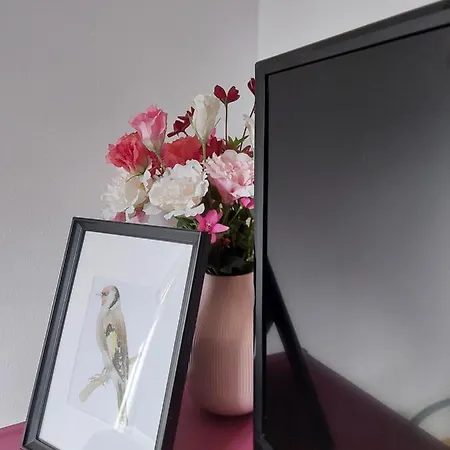 Arena Studio Apartment *